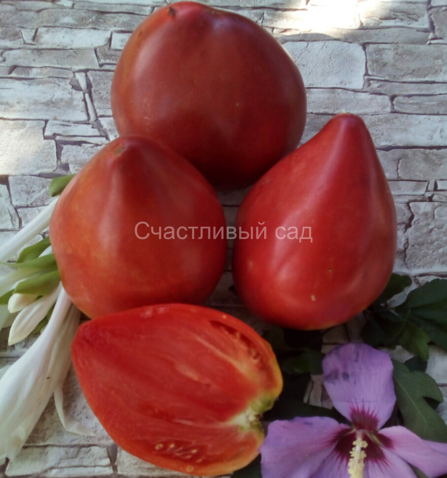 Ландхутский великан (Landshuter Riese)