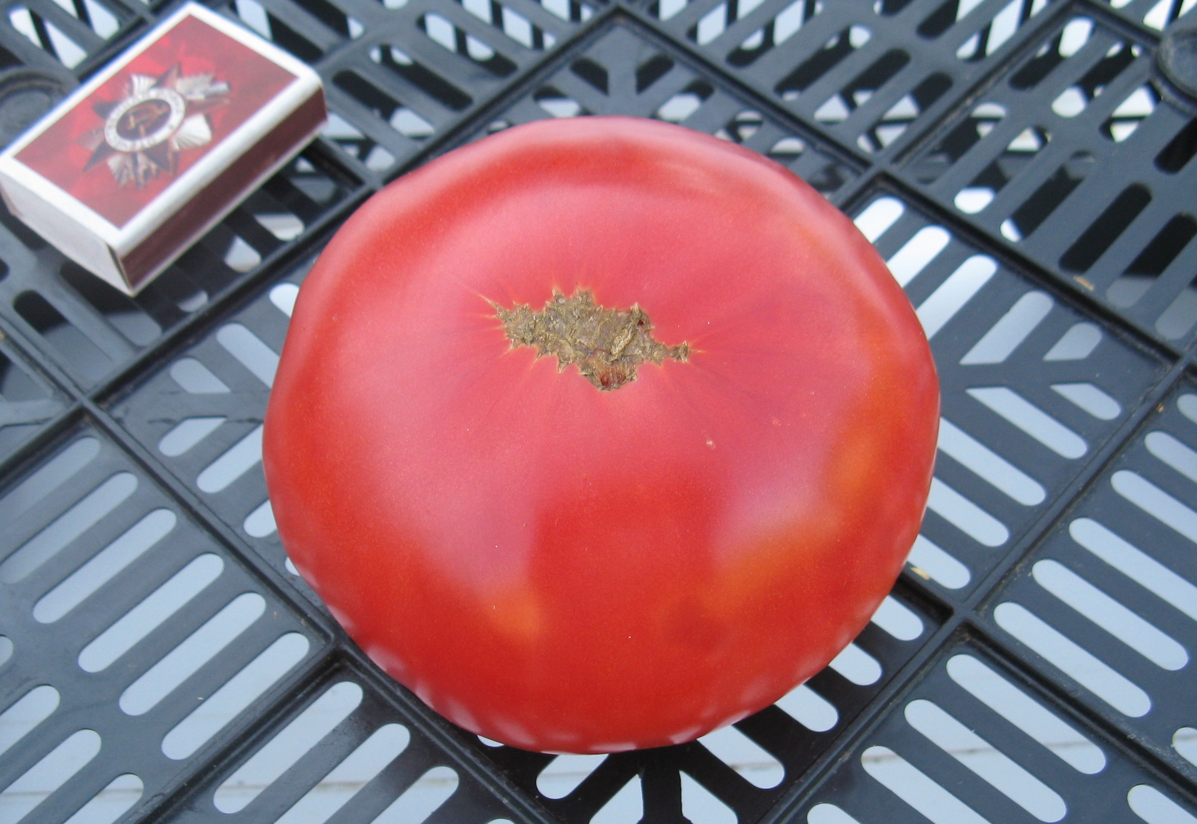 Rosa beefsteak