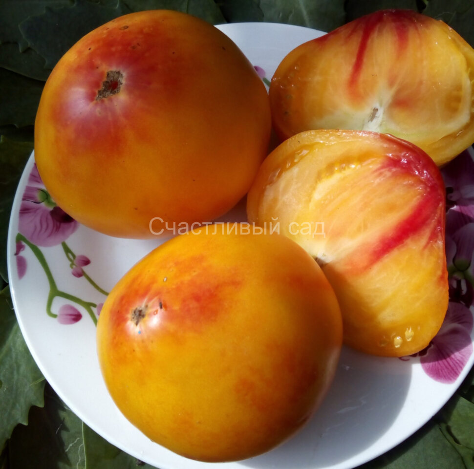 Ананас Малибу (Malibu Pineapple)