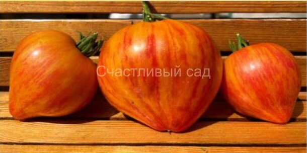 Мечта Людмилы (Ludmila’s Dream)