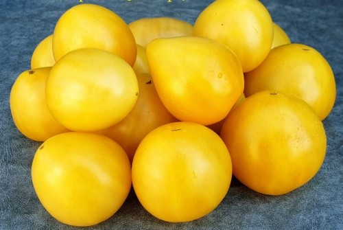Карликовый зверь - жёлтое сердце (Dwarf Beastly Yellow Heart)
