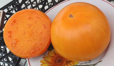 Жёлтая гора Бэрна (Barnes Mountain Yellow)