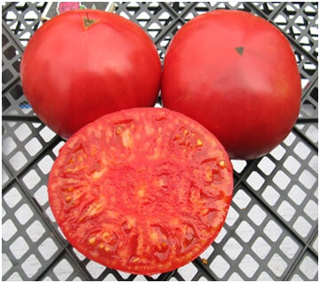 Немецкий Красный томат бабушки Кантрелл (Granny Cantrell's German Red Tomato)