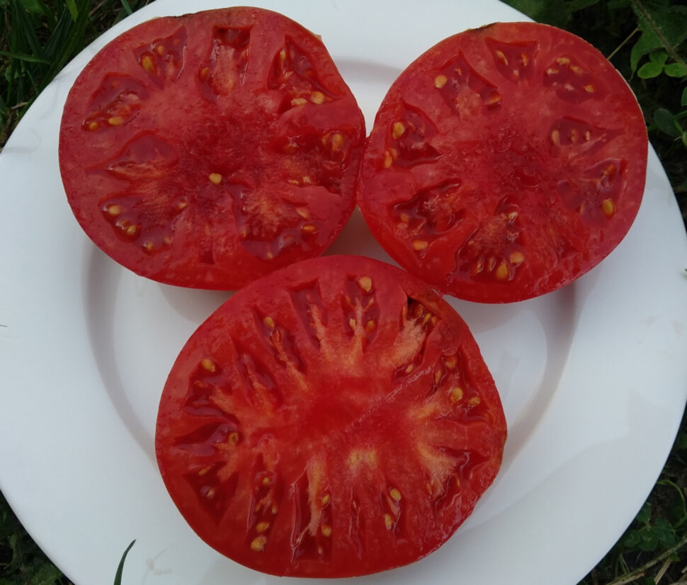Летнее вино (Summertime Wine)