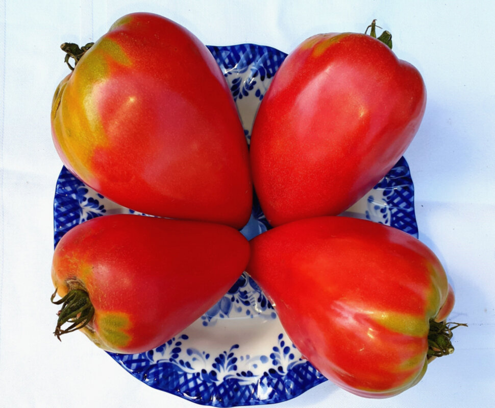 Телячье сердце (Calf's Heart)