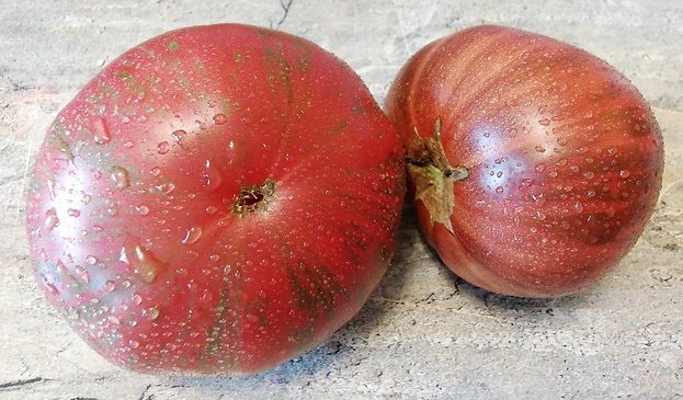 Красные Полосы Амарилло (Red Amarillo Stripes)