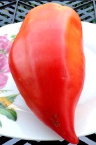 Паста Аббаттиста (Abbattista paste)