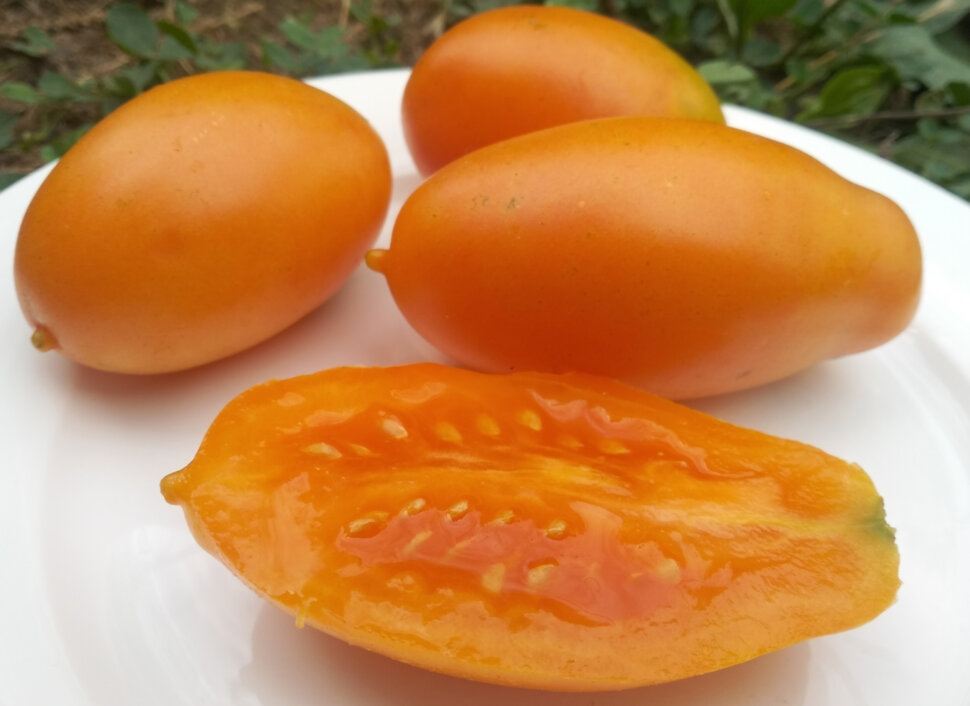 Апельсиновая паста Вика (Wick’s Orange Paste)