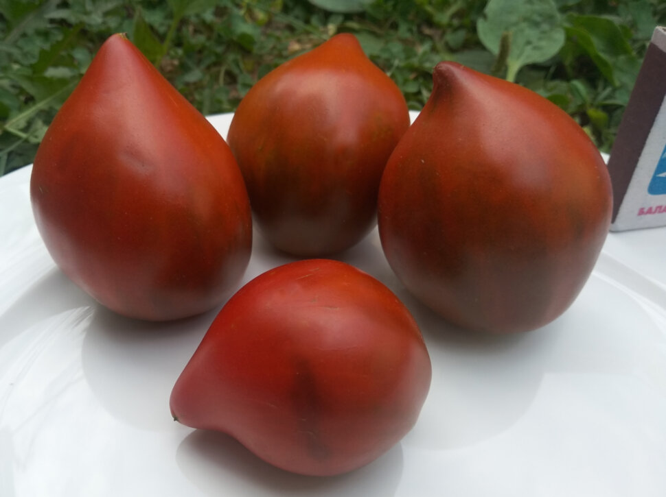 Сердце Линнея (Linnaeus heart)