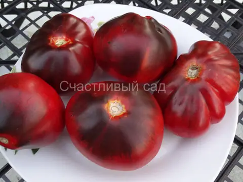 Синяя Груша (Blue Pear)