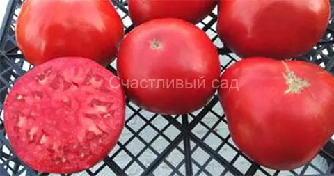 Красный Мериленд (Maryland Red)
