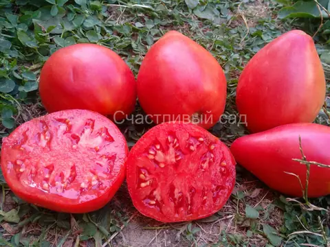 Сызранское бычье сердце
