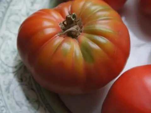 Хелен Немецкий (Helen's German)