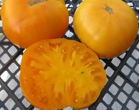 Доктор Виче жёлтый (Dr. Wyche's Yellow)
