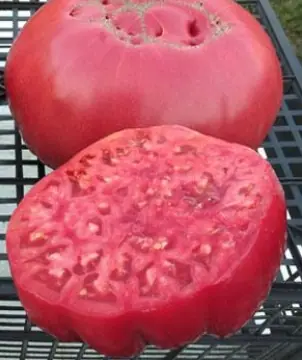 Napa Giant