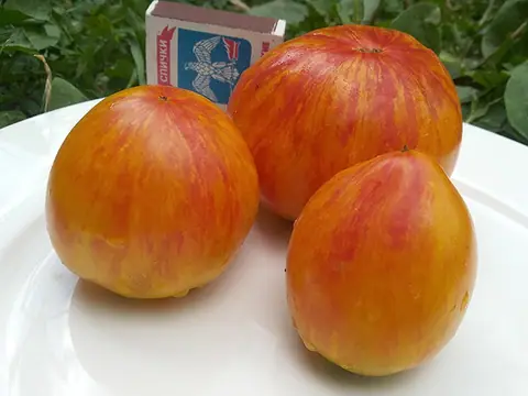 Сердце Королевы Красоты (Beauty Queen Heart)