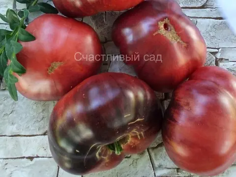 Улицы разбитых фонарей (Streets of broken lanterns)