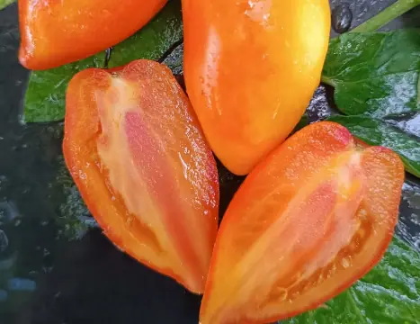 Dwarf Sunkissed Peach