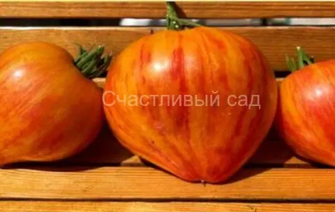 Мечта Людмилы (Ludmila’s Dream)