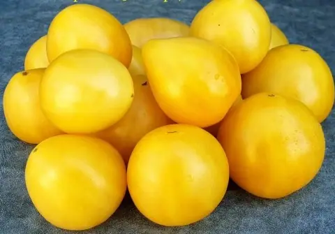 Карликовый зверь - жёлтое сердце (Dwarf Beastly Yellow Heart)