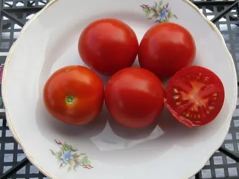 Семира
