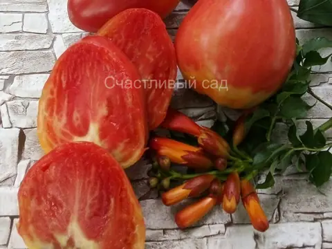 Розовое бычье сердце Джо (Joe's Pink Oxheart)