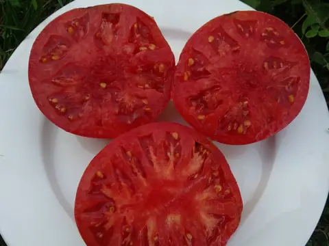 Летнее вино (Summertime Wine)