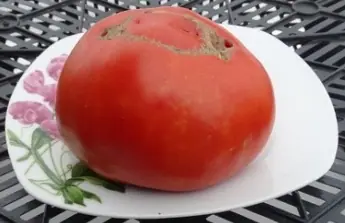 Яблочный Липецкий