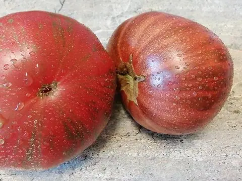 Красные Полосы Амарилло (Red Amarillo Stripes)