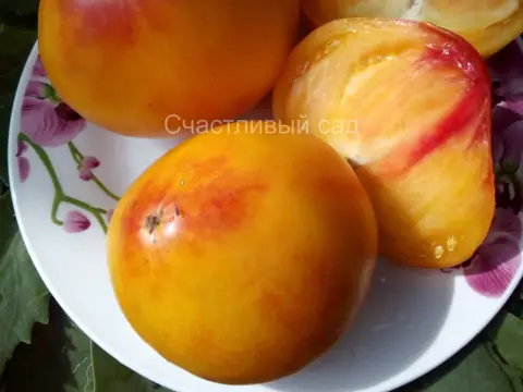 Ананас Малибу (Malibu Pineapple)