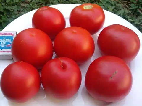 Минусинский урожайный
