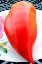 Паста Аббаттиста (Abbattista paste)