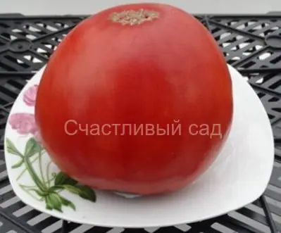 Белоруское сердце