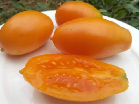 Апельсиновая паста Вика (Wick’s Orange Paste)