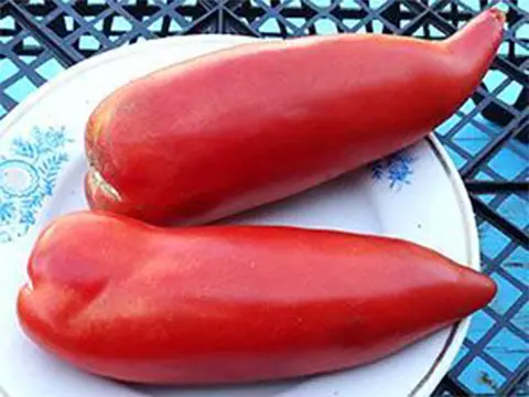 Сердце борова (Hog Heart)