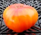 Сладкий янтарь (Sweet Amber)