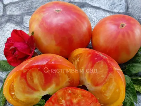 Медовое Авеню (Honey Avenue)